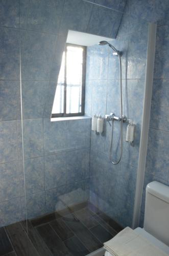 a bathroom with a shower with a toilet and a window at Los Araucanos in Santiago