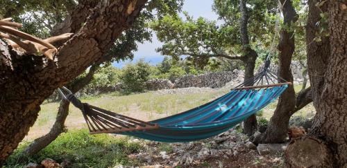 a blue hammock hanging between two trees at Holiday home Verin in Mali Lošinj