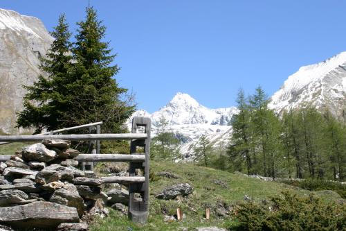 Ferienbauernhof - Berger – Photos 4