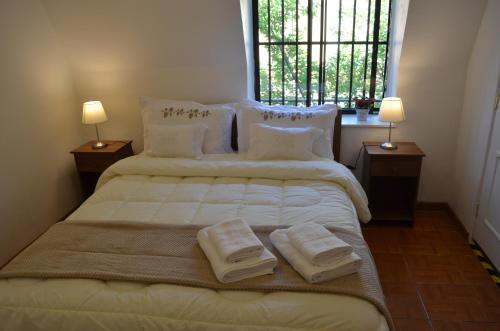 a bedroom with a large bed with towels on it at Los Araucanos in Santiago