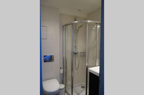 Un baño con ducha, inodoro y lavabo. en Le coin vert, en Deauville