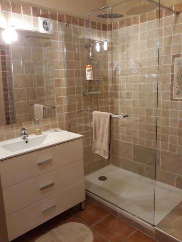 a bathroom with a shower and a sink at Le Mas des Vergers in Salon-de-Provence