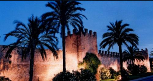 a building with palm trees in front of it at Casa Convent in Alcudia