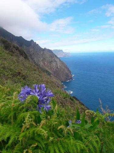 Funchal Bay View Holiday Rental