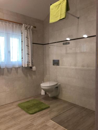 a bathroom with a toilet and a green rug at Ausseer Chalet (nahe Hallstatt), Appartements in Bad Aussee