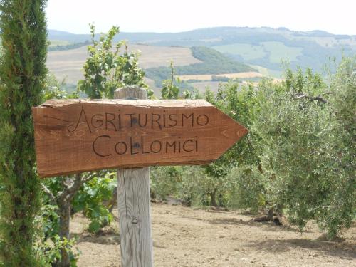 a wooden sign that reads afiricus no colossus at Agriturismo Collomici in Celle sul Rigo