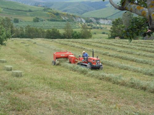 a man riding a tractor in a field at Agriturismo Collomici in Celle sul Rigo