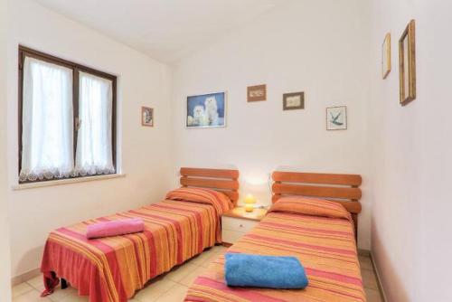 two beds in a room with a window at Appartamenti Le Querce - Lentisco in Capoliveri