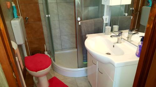 y baño con ducha, lavabo y aseo. en Kuca za odmor Vinica breg en Varaždin