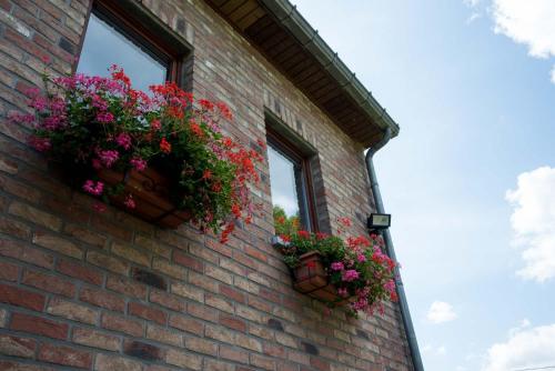 Gîte A La Violette – Photos 3