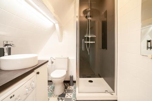 une salle de bain avec toilettes, lavabo et douche dans l'établissement LOFT, à Colmar