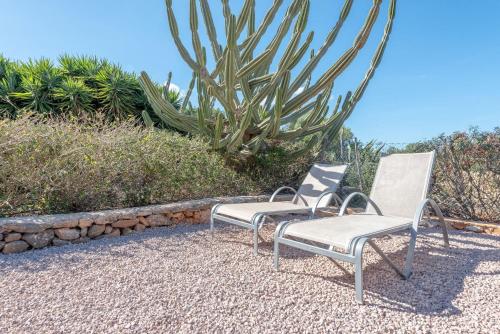 two chairs sitting next to each other in front of a cactus at Es Rafal Roig - Es Nord in Sant Llorenç des Cardassar