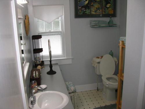 łazienka z umywalką, toaletą i oknem w obiekcie Terraluna Inn w mieście Roseburg