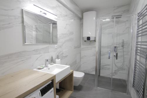 La salle de bains est pourvue d'une douche, d'un lavabo et de toilettes. dans l'établissement Apartmány ROSE Mikulov, à Mikulov