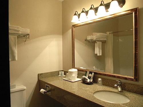 Ένα μπάνιο στο Boarders Inn & Suites by Cobblestone Hotels - Munising