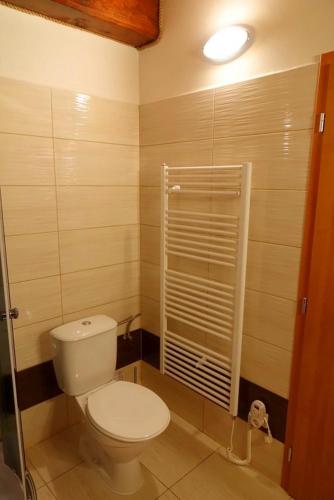 a bathroom with a toilet and a walk in shower at Chata pri jaskyni Bystrá in Bystrá