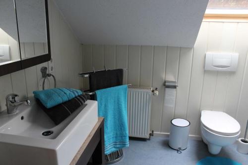 a bathroom with a sink and a toilet at Ferienwohnung Hillers, 35218 in Beningafehn