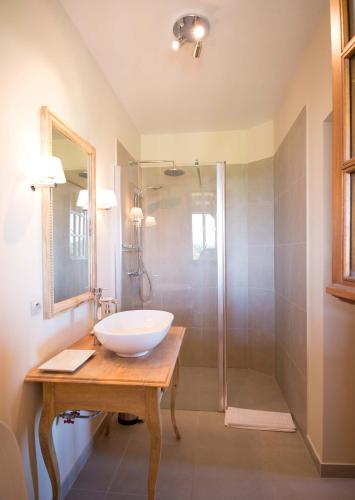 une salle de bain avec un lavabo et une douche dans l'établissement La Maison, à Villeneuve-de-Duras