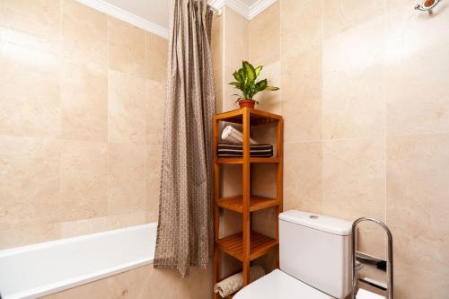 une salle de bains avec des toilettes et une plante sur une étagère dans l'établissement Apartamento Los Remedios Con Patio Andaluz, à Vejer de la Frontera
