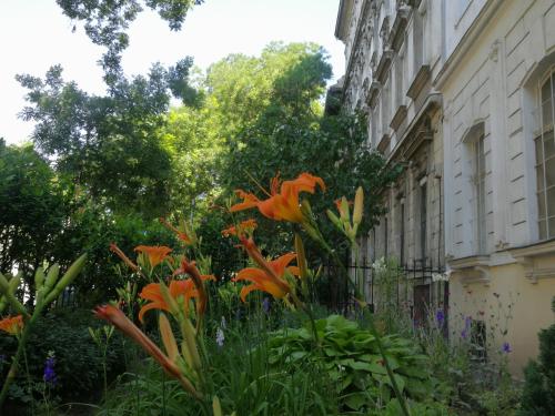 een tuin met sinaasappelbloemen voor een gebouw bij White Rose apartment in Boedapest