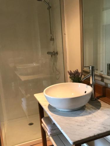 une salle de bain avec un lavabo et une douche dans l'établissement Maisonnette au coeur d'un vignoble, à Villeneuve-de-Duras