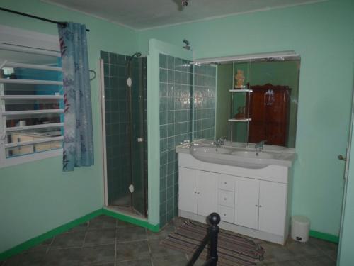 a bathroom with a sink and a shower at Gites Habitation Catherine in Trois-Rivières