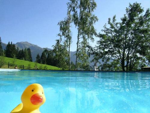 um pato de borracha sentado numa piscina de água em Biohotel Grafenast em Pill