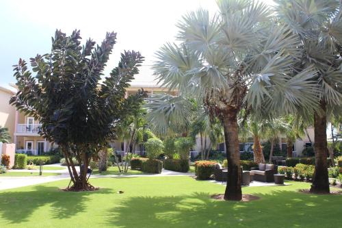 un grupo de palmeras en un patio en The Grand Caymanian Resort, en George Town