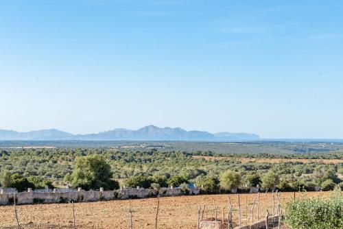a view of a field with trees and mountains in the background at Es Rafal Roig - Es Nord in Sant Llorenç des Cardassar