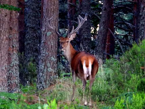 Afbeelding uit fotogalerij van Apartamentos Turísticos Luar II in El Rasillo