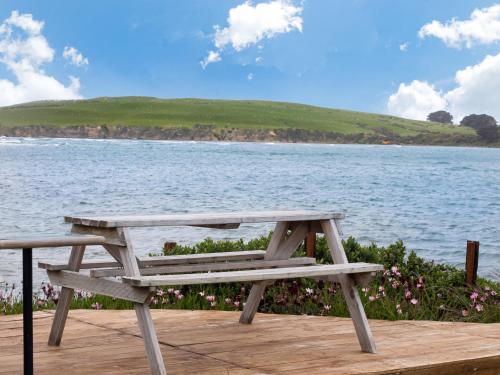a picnic table sitting on a dock next to the water at Surat Bay Lodge by the Sea/Backpackers Hostel in Owaka
