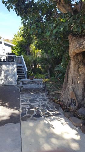 Fotografie z fotogalerie ubytování Bird Haven v destinaci Coromandel Town