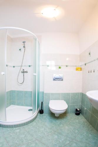 a bathroom with a shower and a toilet and a sink at Apartment Nedrik in Rokytnice nad Jizerou
