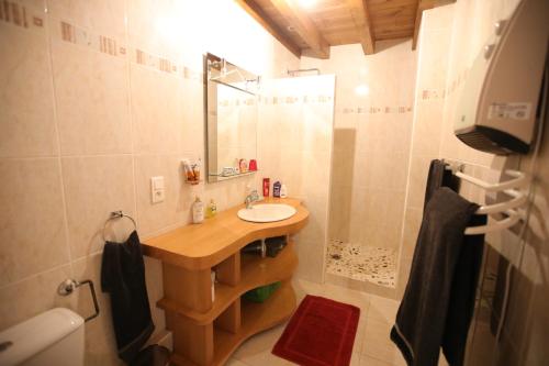 a bathroom with a sink and a shower at Chambres d hotes AZKENA in Arrast-Larrebieu