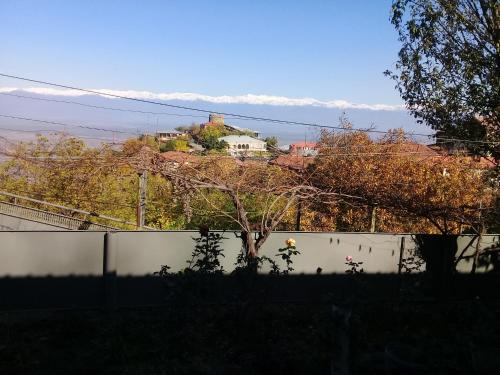 a fence in a yard with a mountain in the background at Apartment Giorgi in Sighnaghi in Sighnaghi
