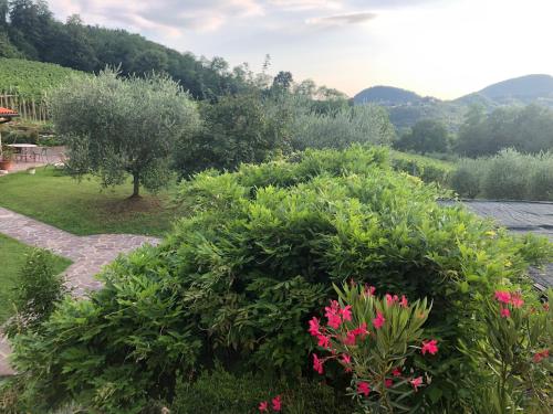 a garden with pink flowers and green bushes at Agriturismo Terre Bianche in Teolo