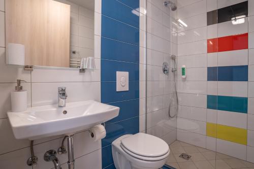a bathroom with a sink and a toilet and a shower at Accommodation Baron in Ljubljana