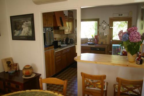 une cuisine avec des armoires en bois et un comptoir dans l'établissement Les Gardénias, à Toulouse