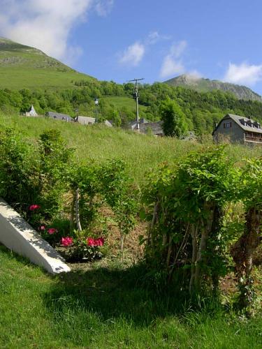 a field with flowers and a house on a hill at Gîte des Moulins - Val d'Azun Pyrénées in Arcizans-Dessus