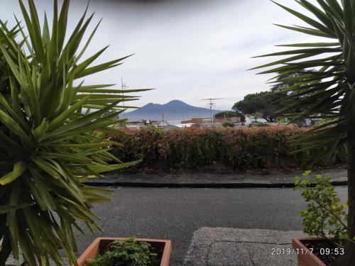 Blick auf einen Garten mit Bergblick im Hintergrund in der Unterkunft Posillipo Super Mono in Neapel