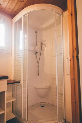 une douche avec une porte vitrée dans une salle de bain dans l'établissement Terres de France - Les Hameaux de Miel, à Beynat