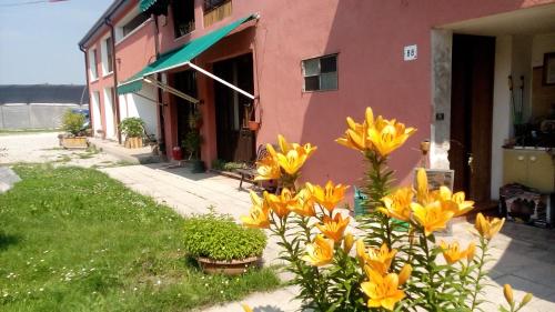 a house with yellow flowers in front of it at Biogarden in Zelarino