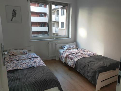dwa łóżka w pokoju z oknem w obiekcie MAGLONIA APARTMENT we Wrocławiu