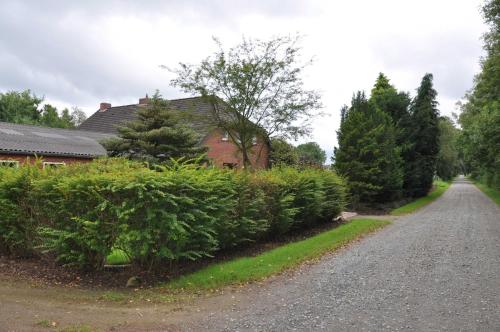 une maison avec une rangée de buissons à côté d'une route dans l'établissement Ferienwohnung Am Königsmoor, 65323, à Moormerland