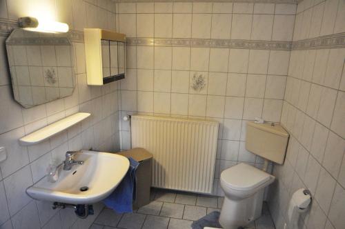 a bathroom with a toilet and a sink at Ferienwohnung Am Königsmoor, 65323 in Moormerland