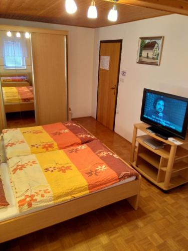 a bedroom with a bed and a television on a table at Gostilna Pension Blegoš in Poljane nad Škofjo Loko