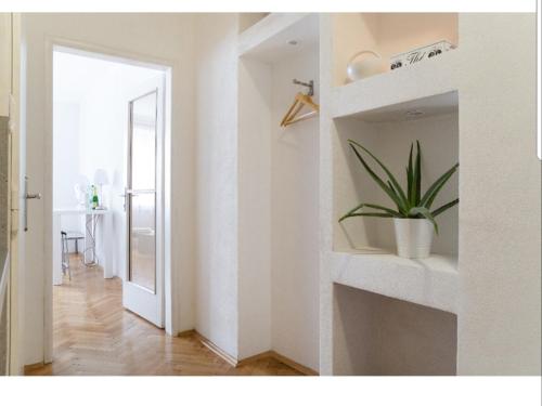 um quarto branco com uma planta numa prateleira em Six Senses Bratislava - Luxury and Central em Bratislava