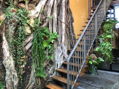 a staircase next to a tree next to a building at Spices Hotel in George Town