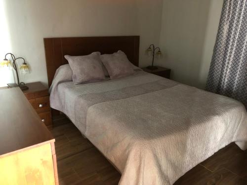 伊科德德洛斯維諾斯的住宿－Teide，一间卧室配有一张大床、两盏灯和两张桌子