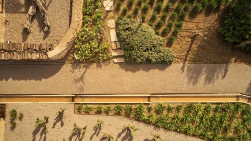 an overhead view of a garden with trees and plants at Finca Sestelrica in Artá